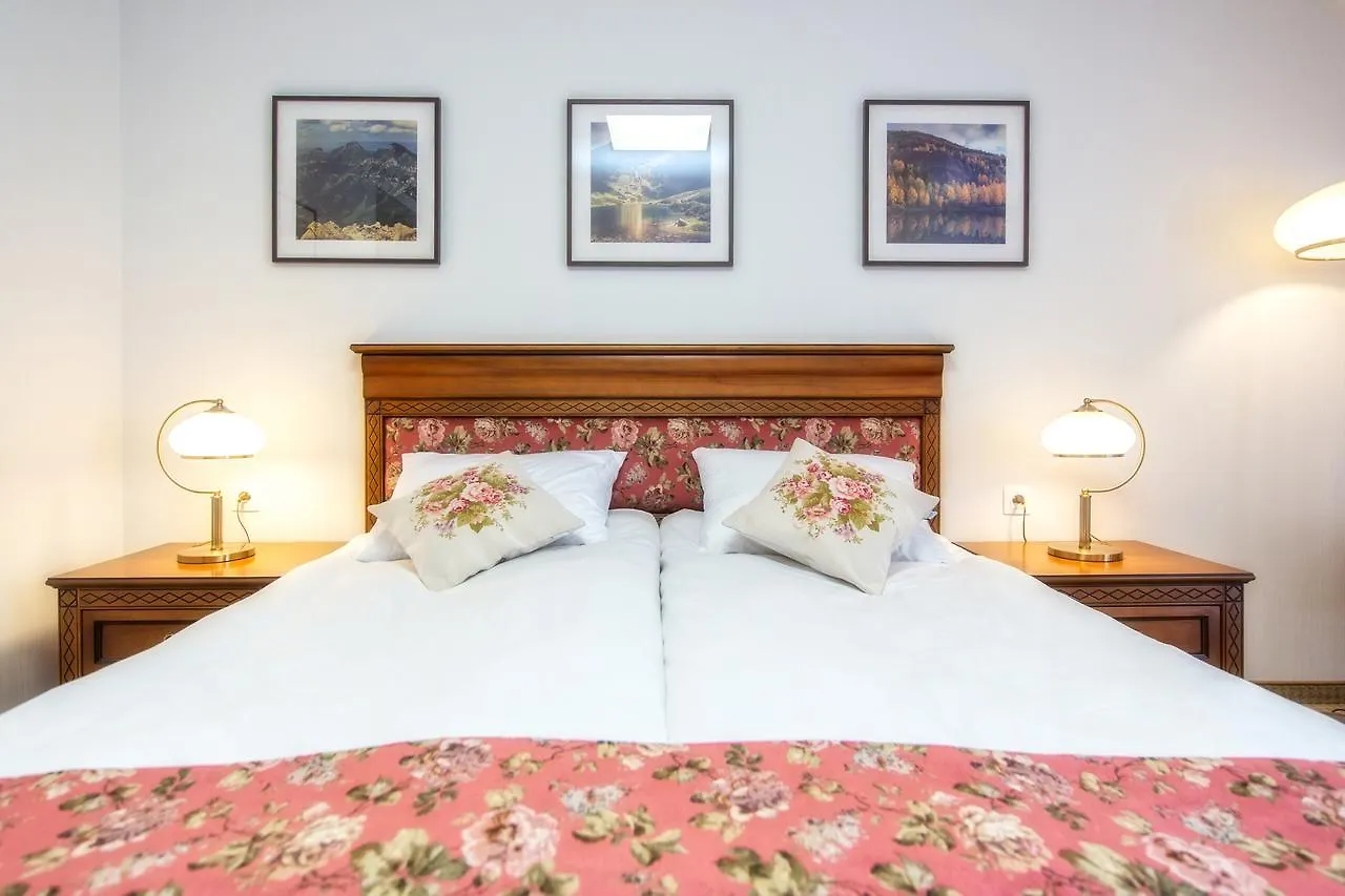 Hotel Paryski Art & Business Zakopane - Basen Jacuzzi Sauna Malpi Gaj 4*,  Poland